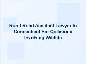 Wildlife Collisions on Rural Roads in Connecticut